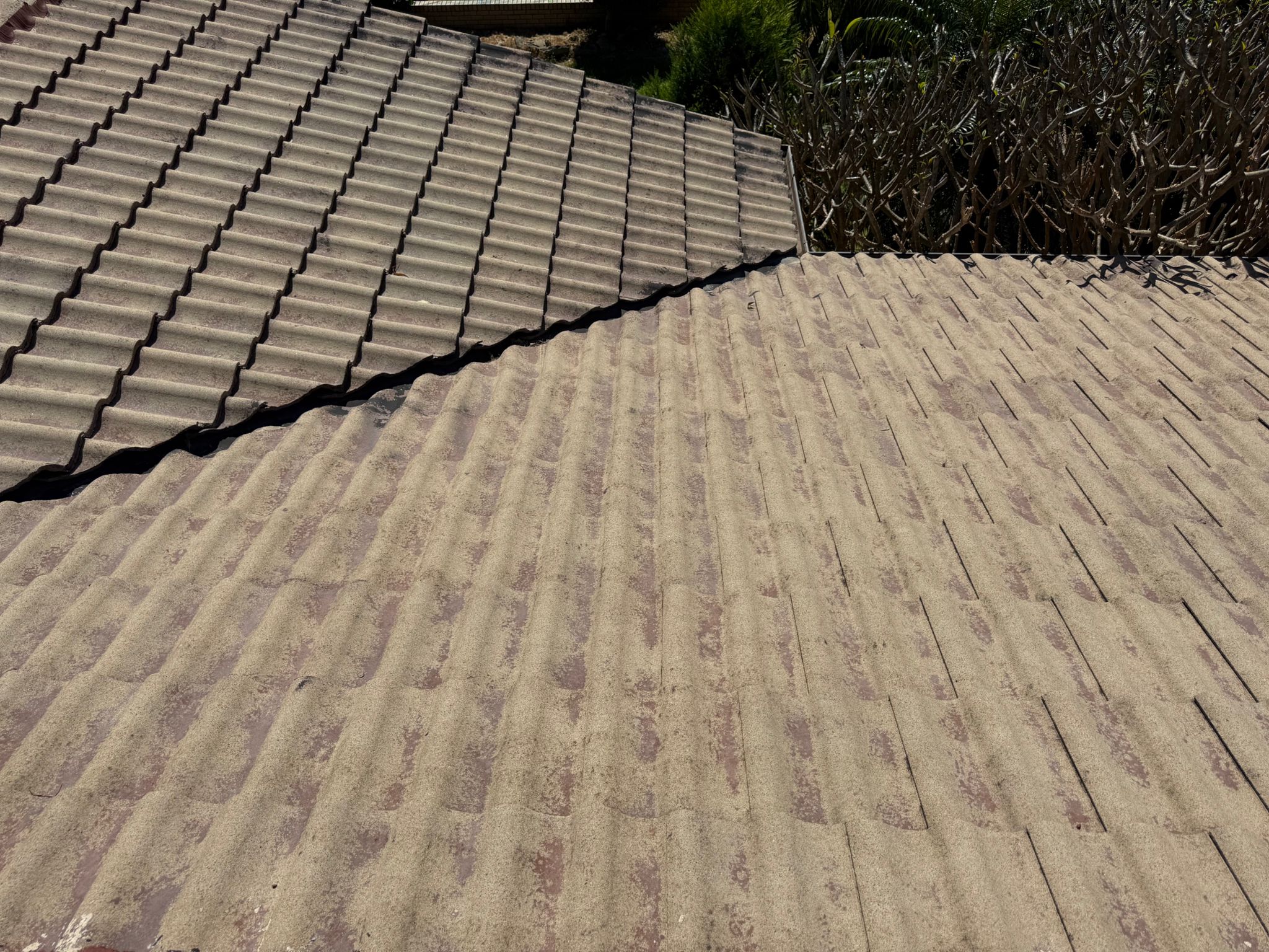 Roof and gutter cleaning service removing moss and debris